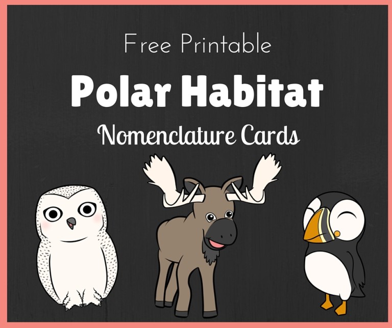 Free Polar Habitat Montessori Nomenclature Cards