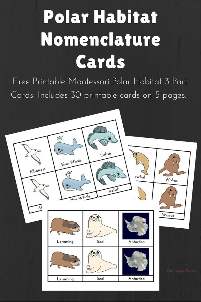 Free Printable Polar Habitat Nomenclature Cards. 