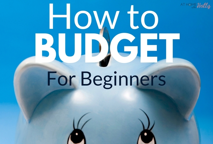 Budget For Beginners