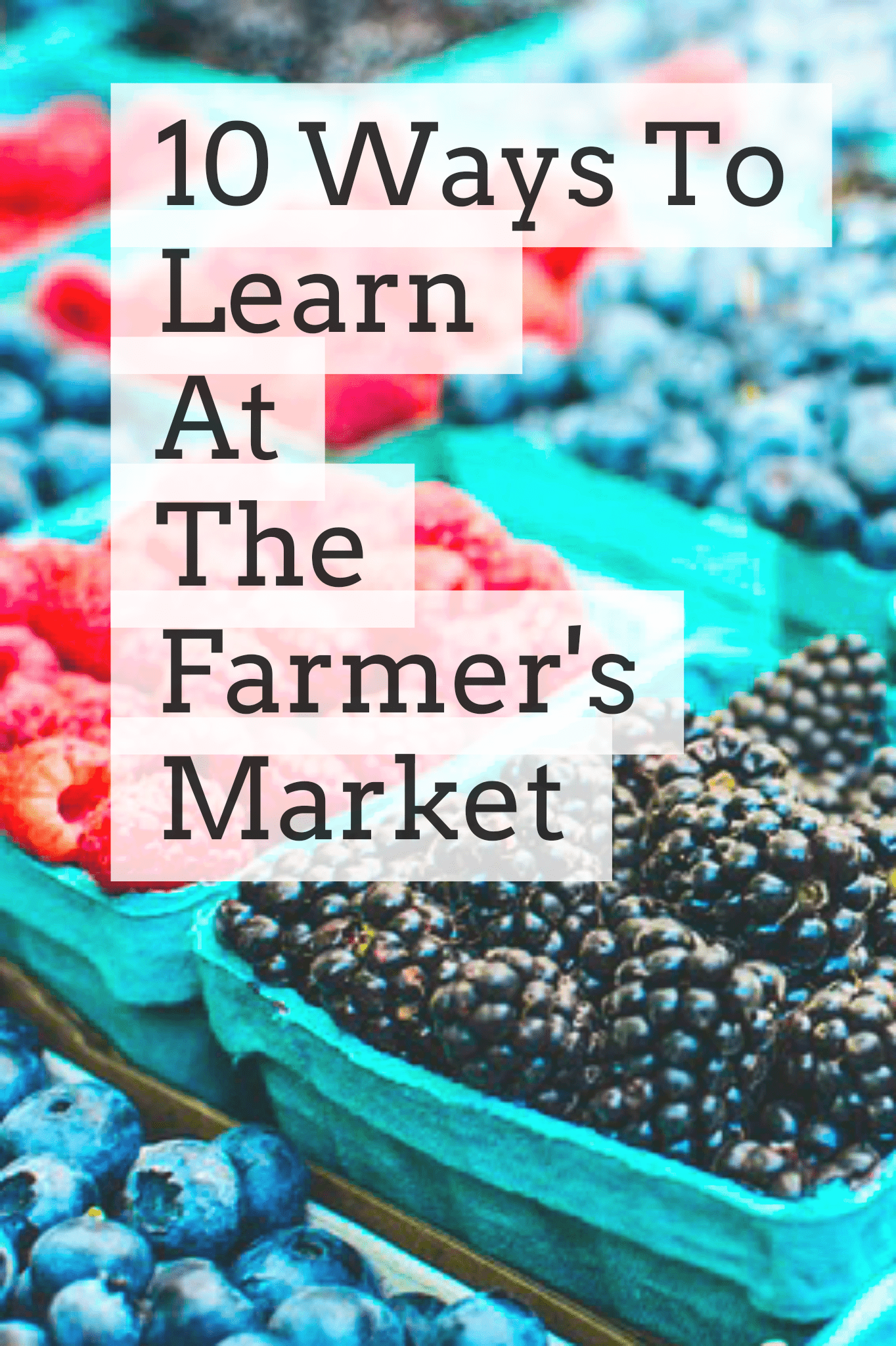 blue containers of raspberries, blackberries, and blueberries and text 10 Ways to Learn at the Farmer\'s Market