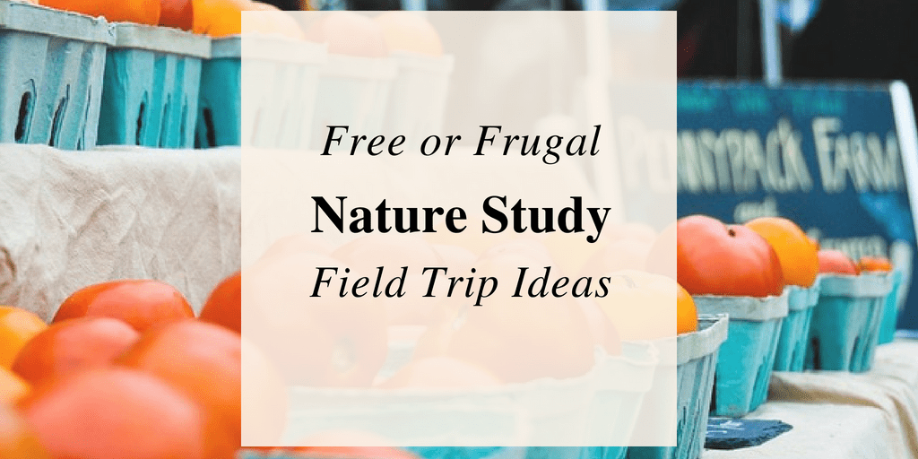 Take Advantage of Homeschool Field Trip Ideas