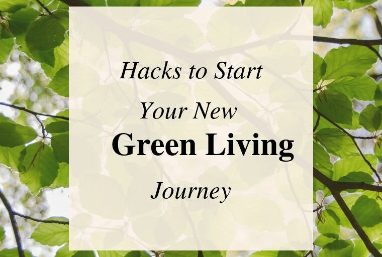 How To Start Your Eco Friendly Journey