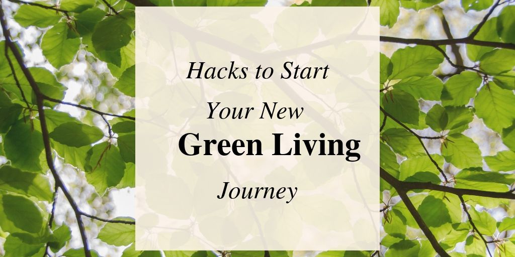 Eco-Friendly Hacks To Living Green
