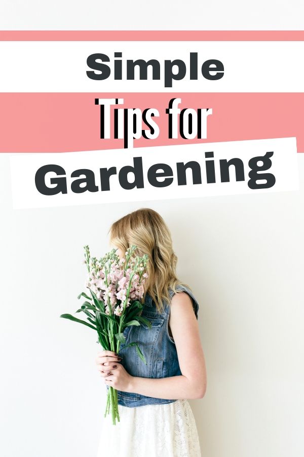 Simple Tips for New Gardeners