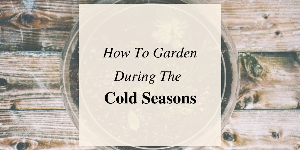 How To Grow Vegetables In The Winter