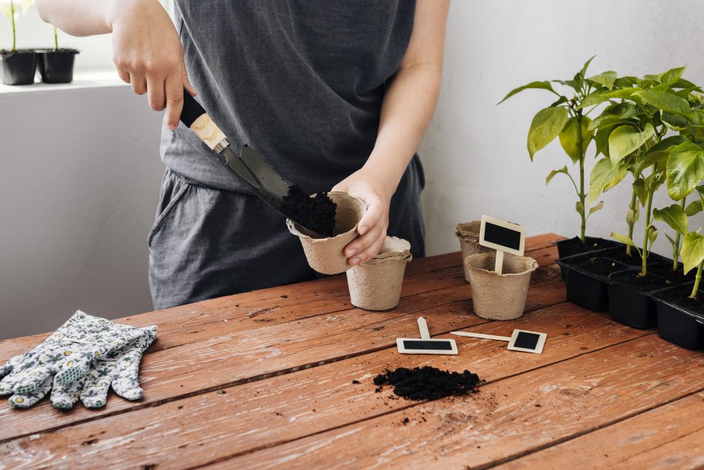 Container Gardening With Children | How to start gardening with children by planting a container garden. It's easy to maintain, can be planted in small spaces and allows your child to see what it takes to grow a plant from seed. 