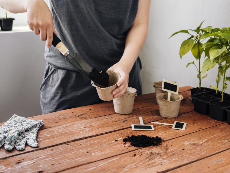 Container Gardening With Children | How to start gardening with children by planting a container garden. It's easy to maintain, can be planted in small spaces and allows your child to see what it takes to grow a plant from seed.