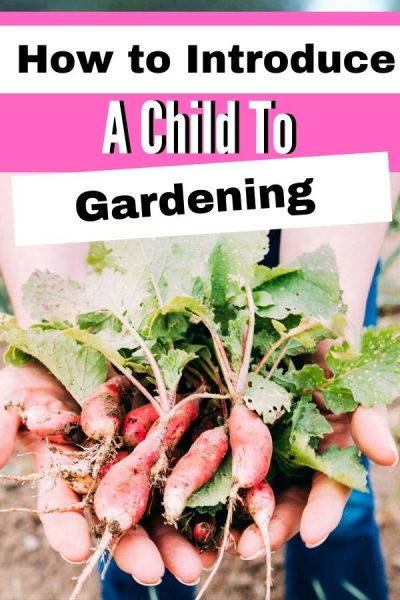 Container Gardening With Your Child| How to get started with gardening for children by using container gardening. 